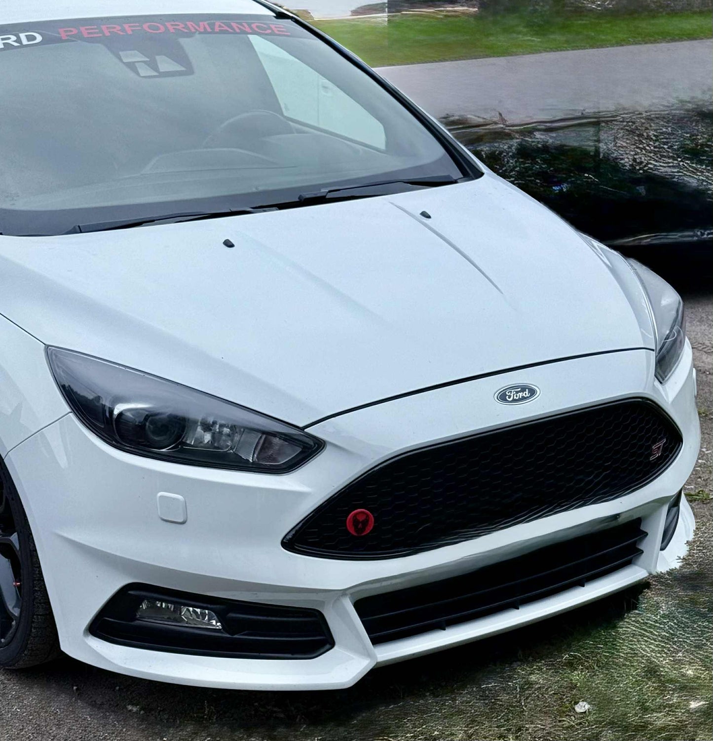 Grille Insert Alien Head Ford Focus